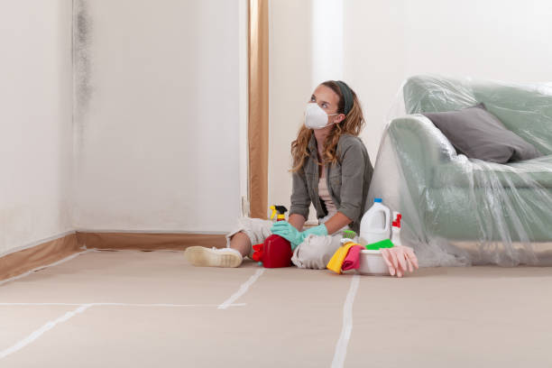 Reliable Mold Inspection contractor in Mead, WA by WQB Mold Removal